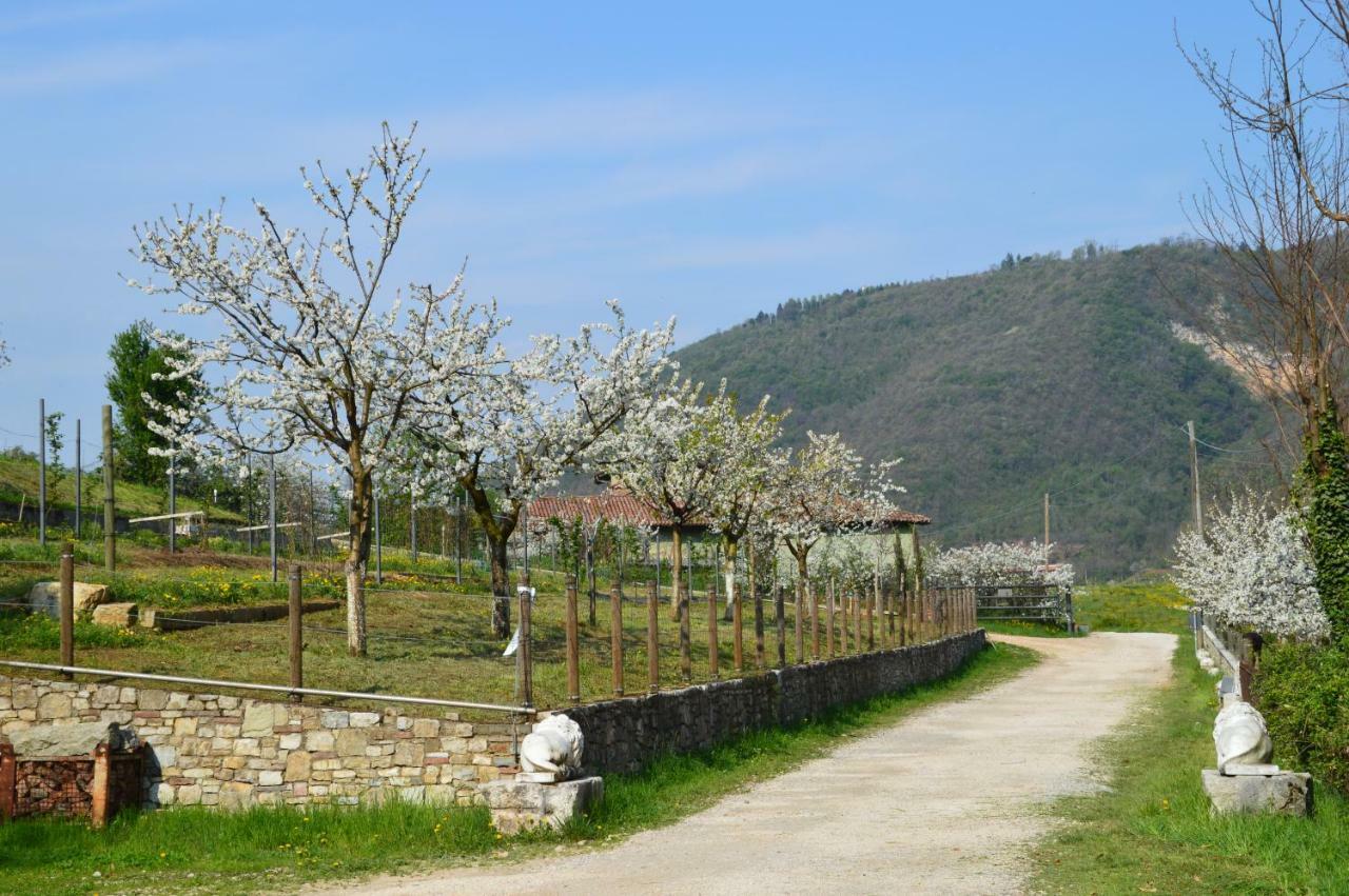 Cascina Valsorda Bed & Breakfast Concesio Eksteriør bilde