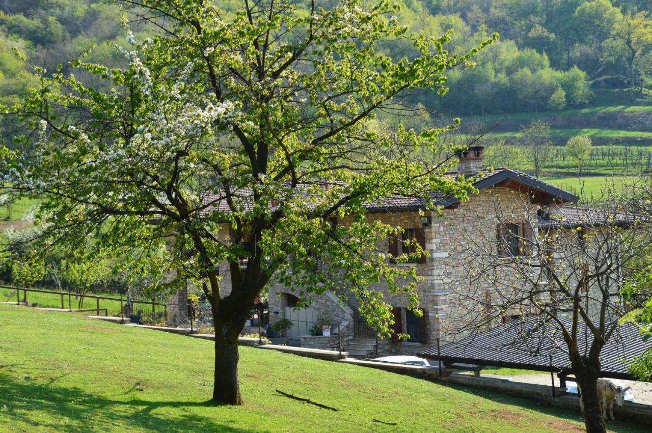 Cascina Valsorda Bed & Breakfast Concesio Eksteriør bilde
